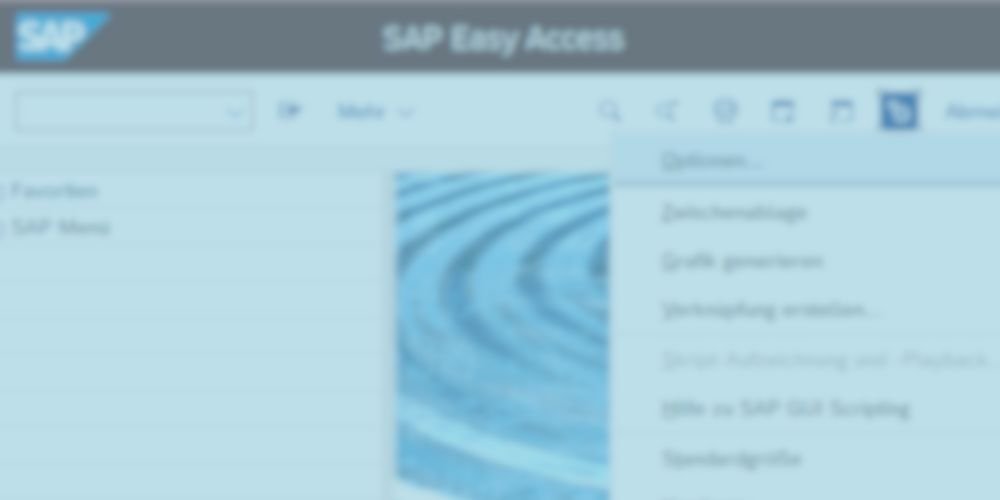SAP GUI Farben anpassen - Toenjes Consulting GmbH